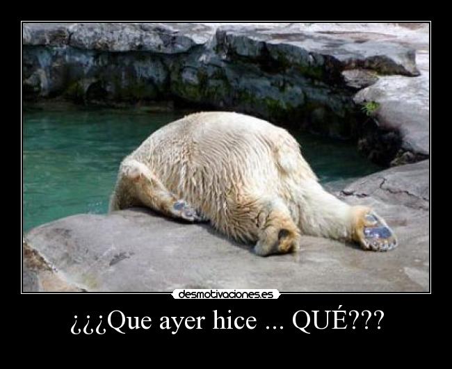 ¿¿¿Que ayer hice ... QUÉ??? -