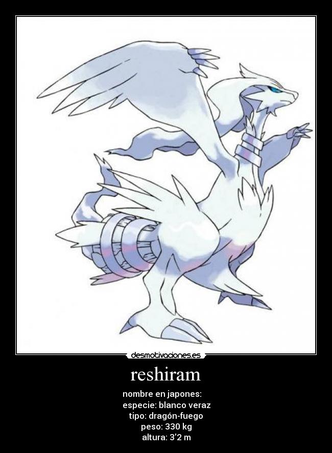 reshiram - nombre en japones: レシラム
especie: blanco veraz
tipo: dragón-fuego
peso: 330 kg
altura: 32 m