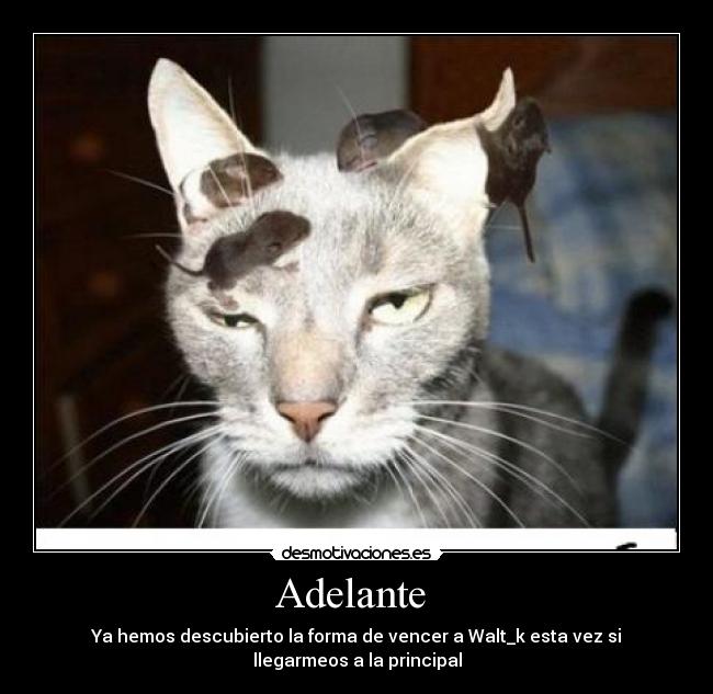 Adelante -