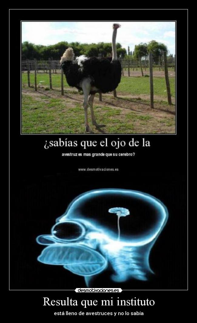 carteles desmotivaciones