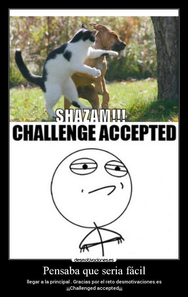 Pensaba que seria fácil - 