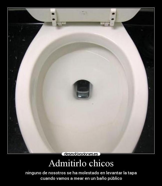 Admitirlo chicos - ninguno de nosotros se ha molestado en levantar la tapa
cuando vamos a mear en un baño público