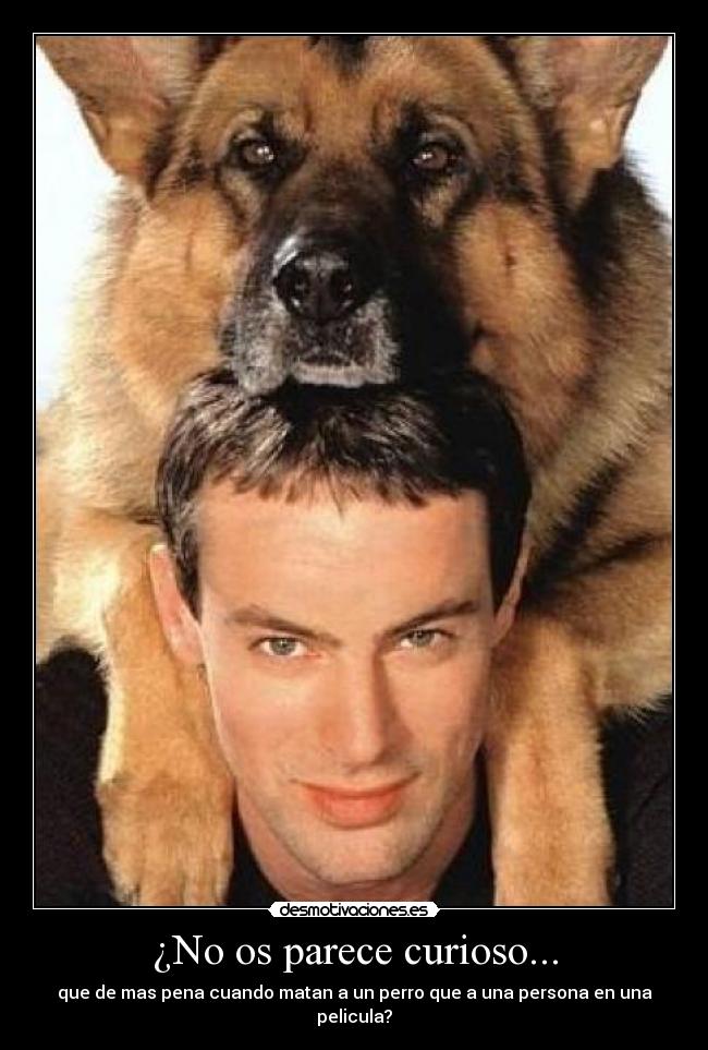 ¿No os parece curioso... -