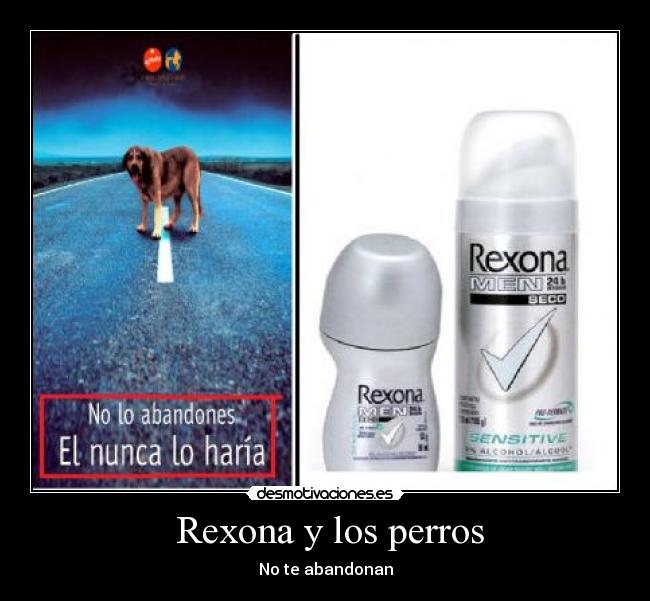 Rexona y los perros - No te abandonan