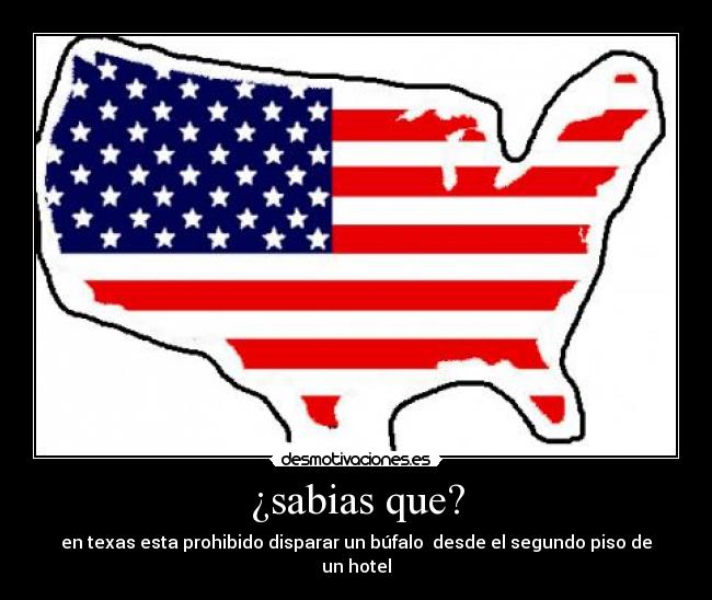 ¿sabias que? - en texas esta prohibido disparar un búfalo  desde el segundo piso de un hotel