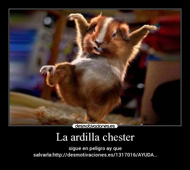 La ardilla chester -