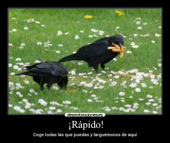 ¡Rápido! - Coge todas las que puedas y larguémonos de aquí