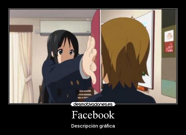 Facebook - Descripción gráfica