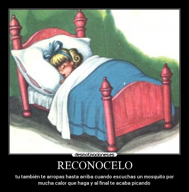 RECONOCELO -