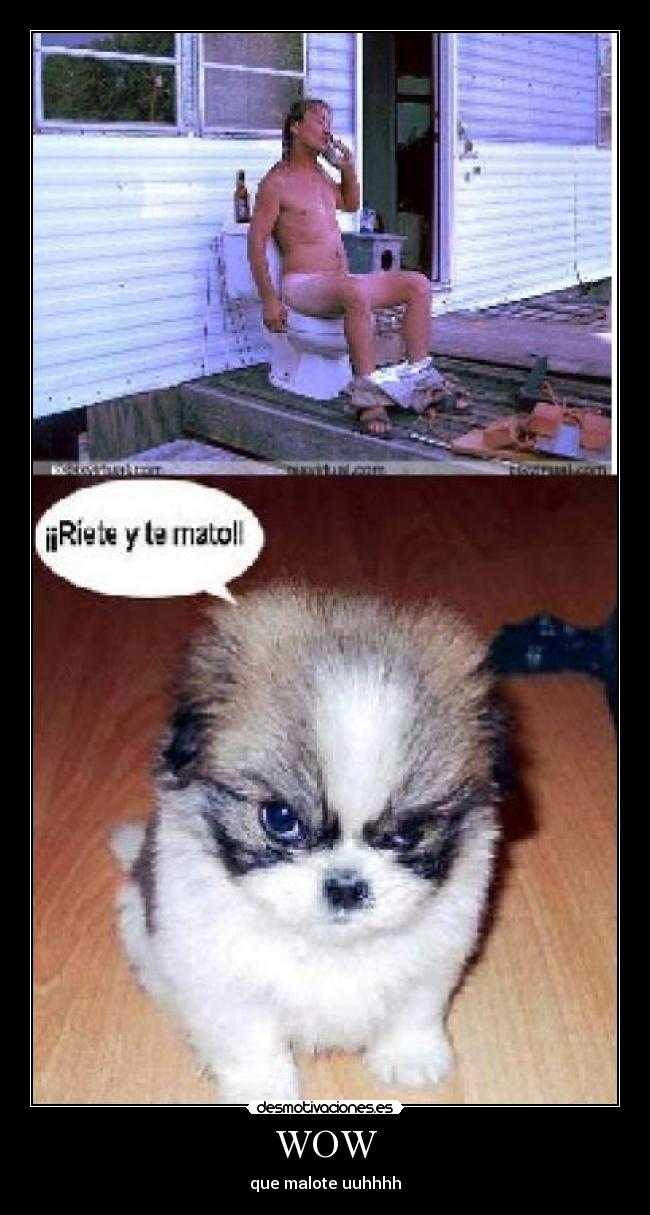 WOW - que malote uuhhhh