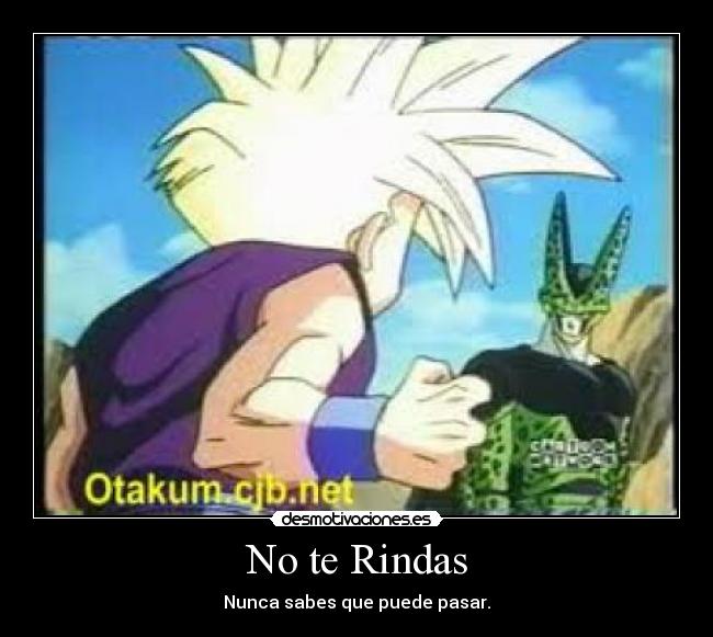 No te Rindas - 