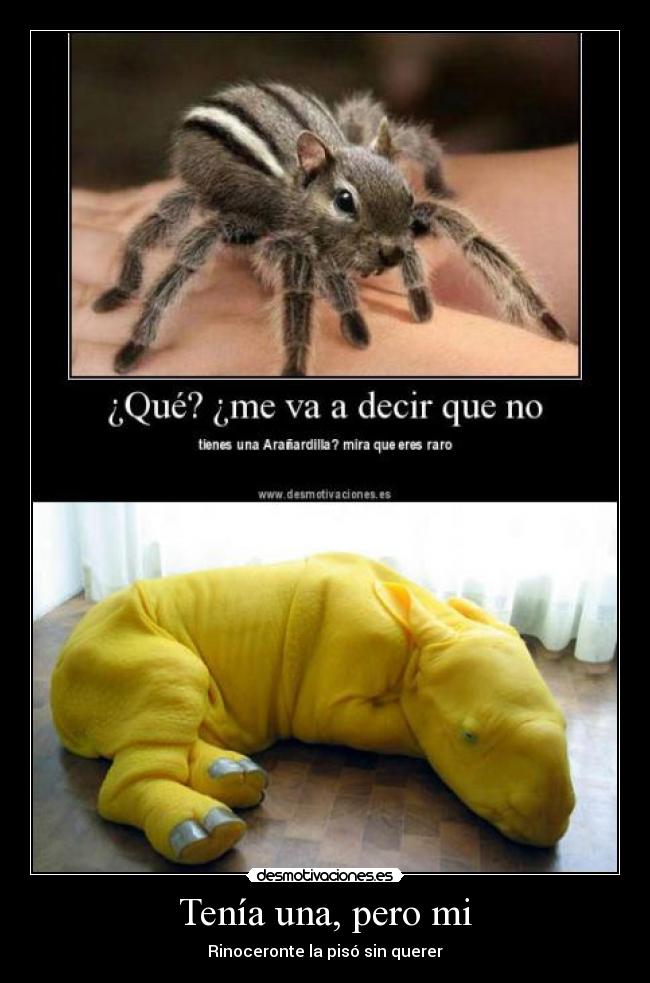 carteles rino ardilla desmotivaciones