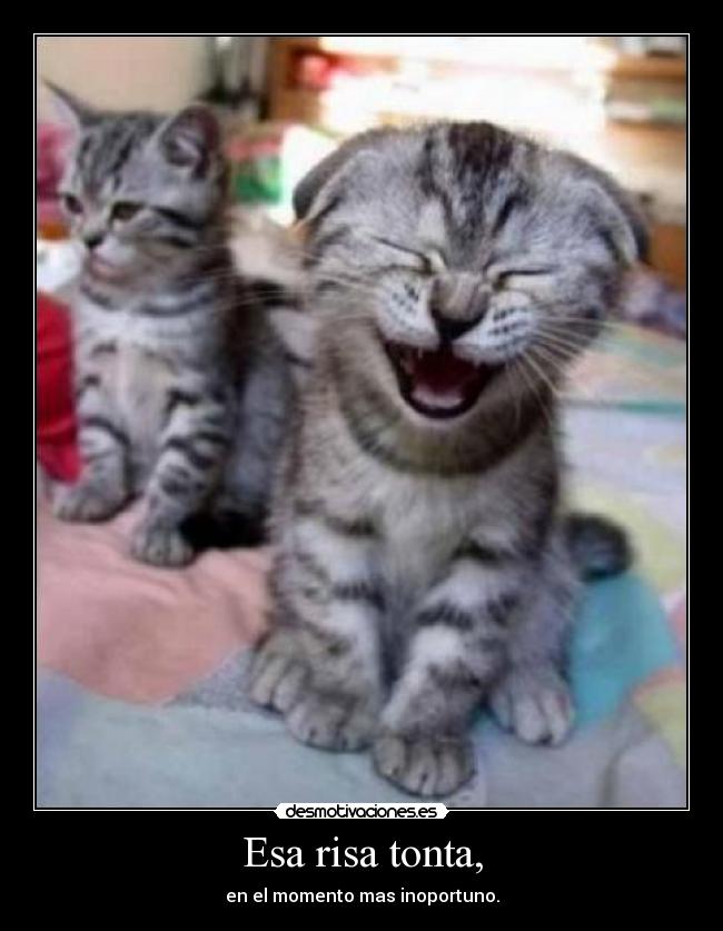 carteles risa albaa9 desmotivaciones