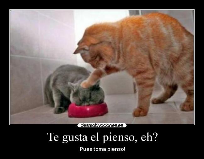 Te gusta el pienso, eh? - 