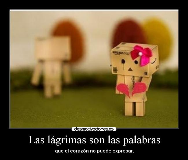 Las lágrimas son las palabras - que el corazón no puede expresar.