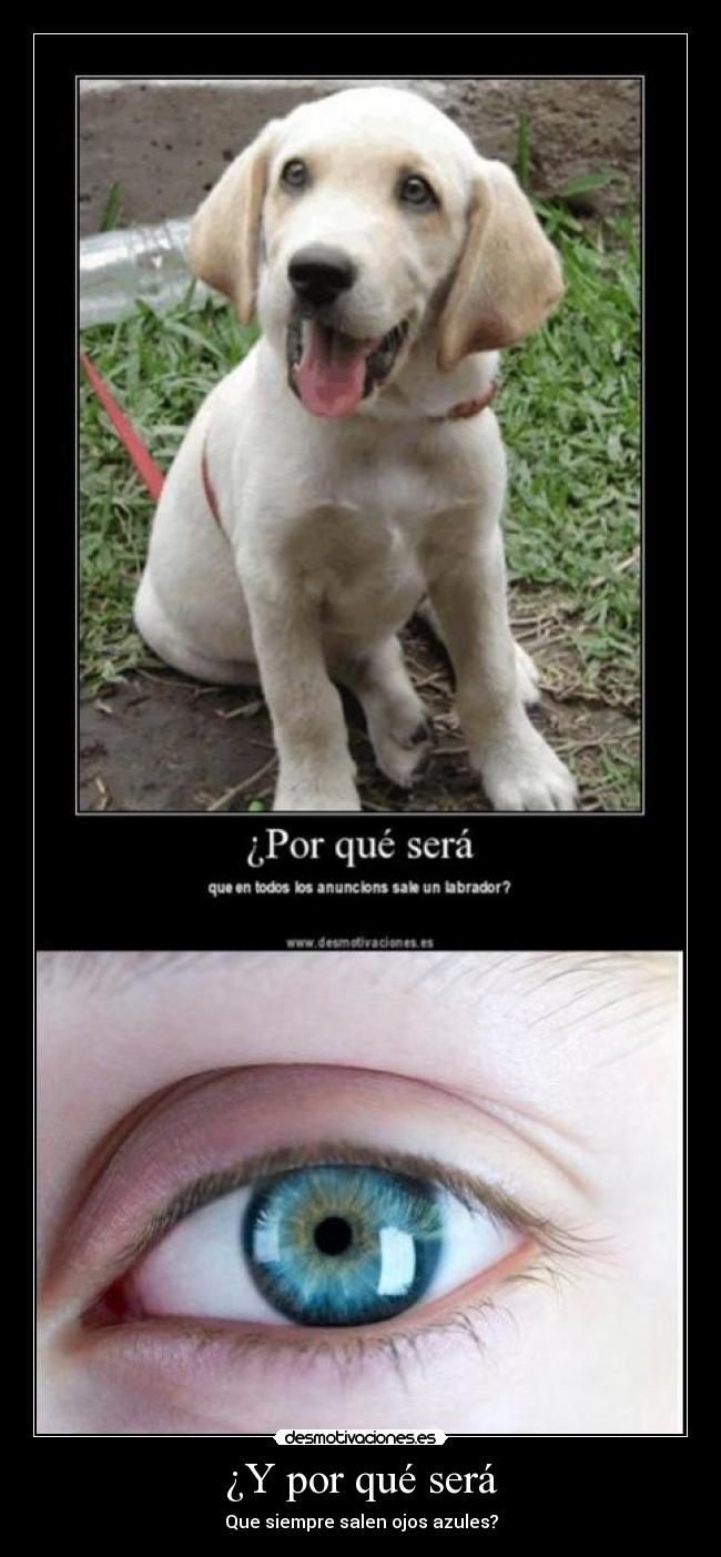 ¿Y por qué será - 