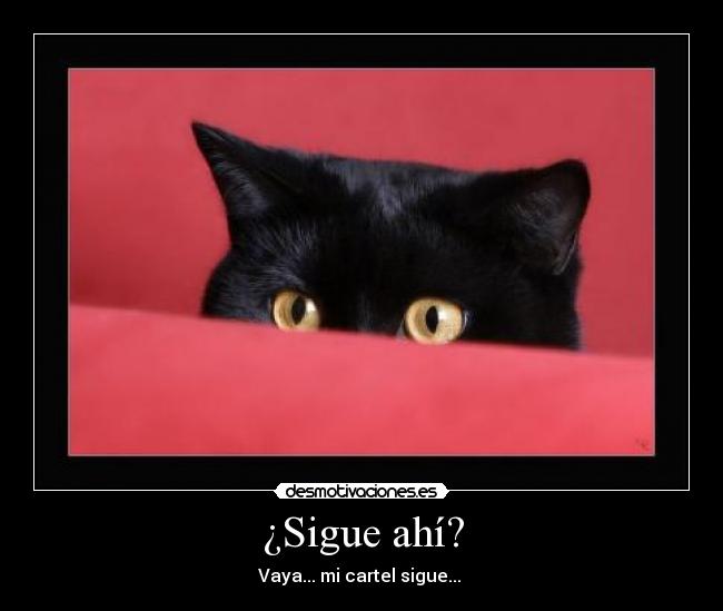 ¿Sigue ahí? - 