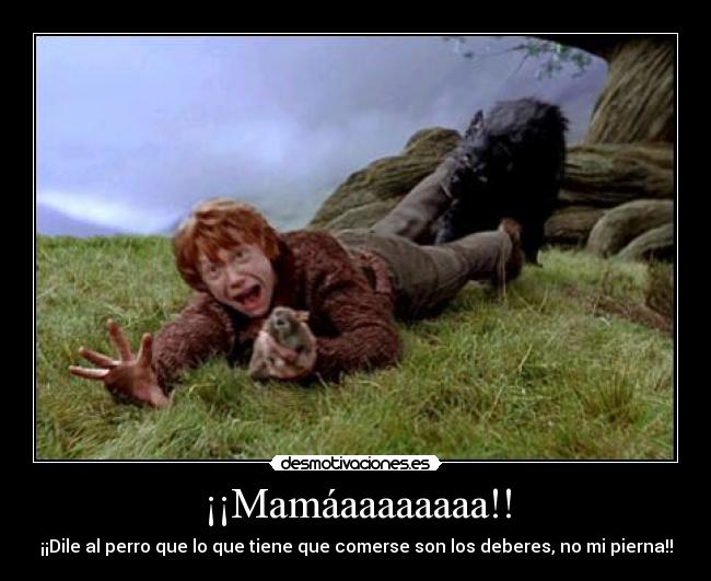 ¡¡Mamáaaaaaaaa!! - 