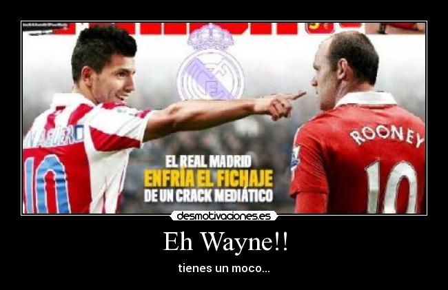 Eh Wayne!! - 