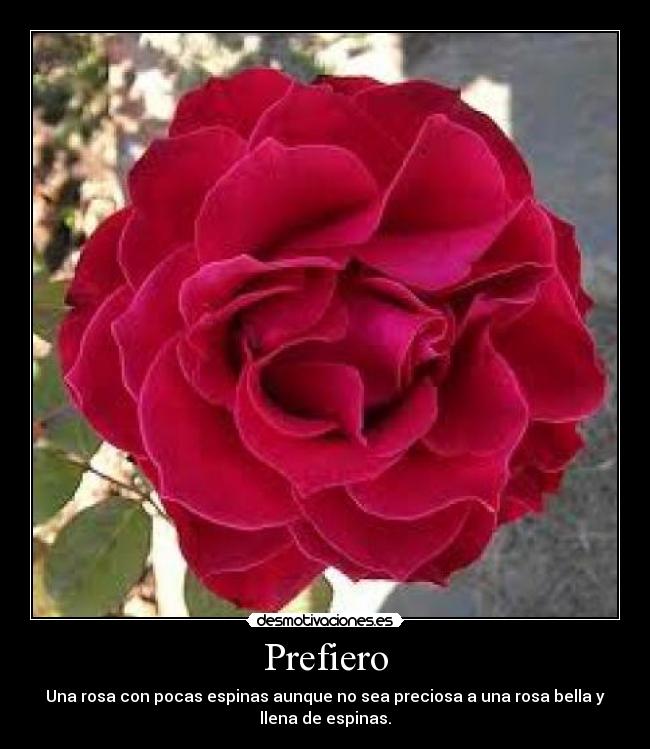 carteles rosa desmotivaciones