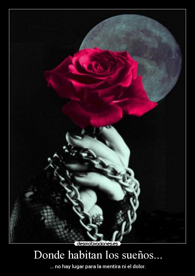 Donde habitan los sueños... - ... no hay lugar para la mentira ni el dolor.