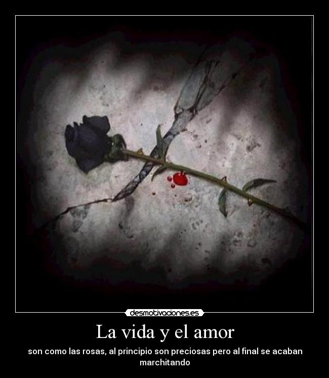 La vida y el amor -
