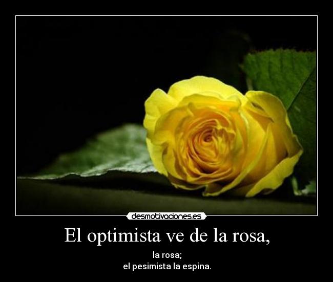 carteles dena desmotivaciones