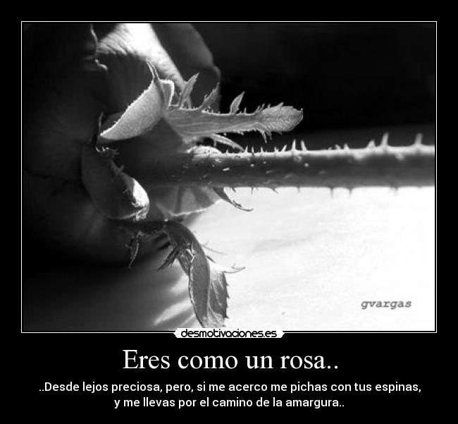 Eres como un rosa.. - 