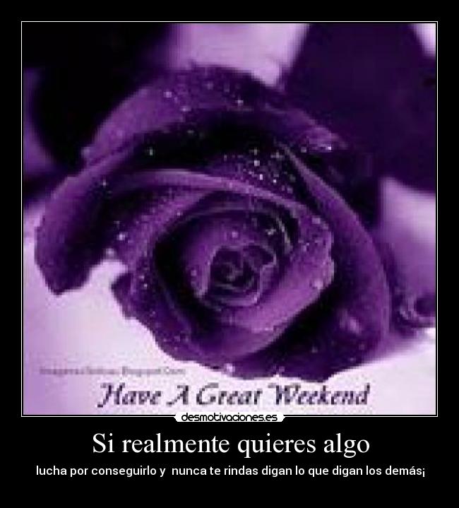 Si realmente quieres algo - lucha por conseguirlo y nunca te rindas digan lo que digan los demás¡