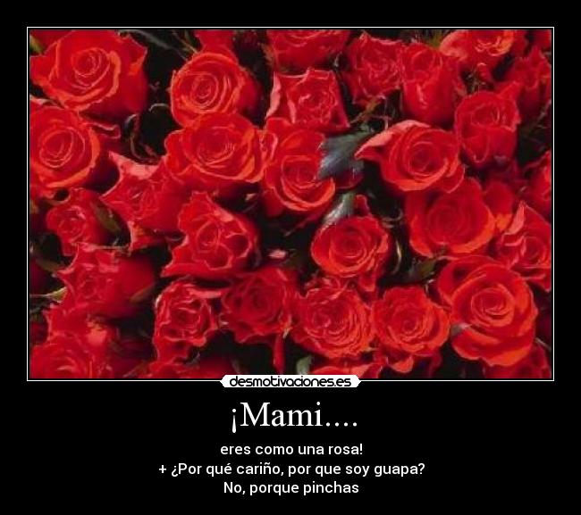 ¡Mami.... - eres como una rosa!
+ ¿Por qué cariño, por que soy guapa?
No, porque pinchas