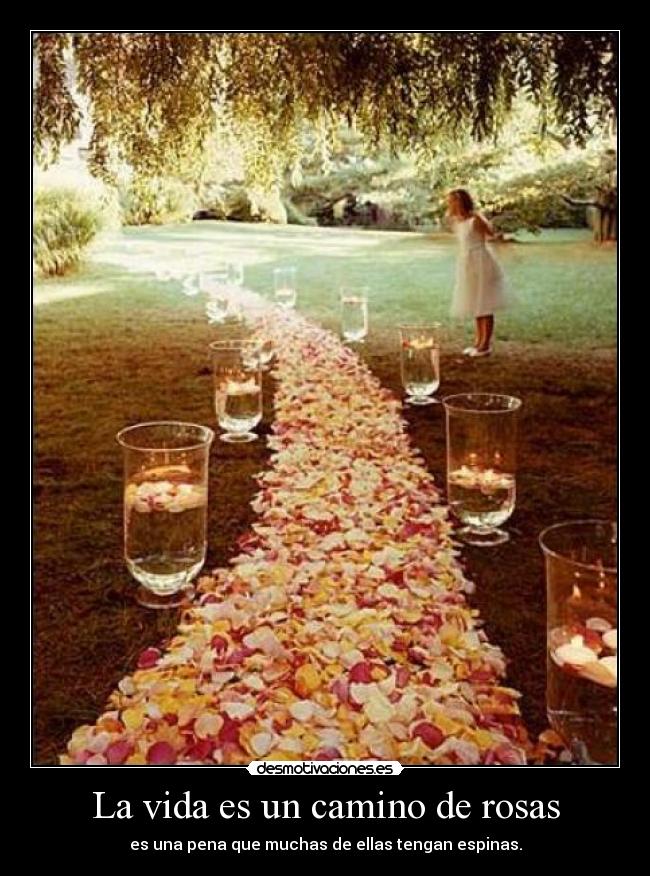 La vida es un camino de rosas - 