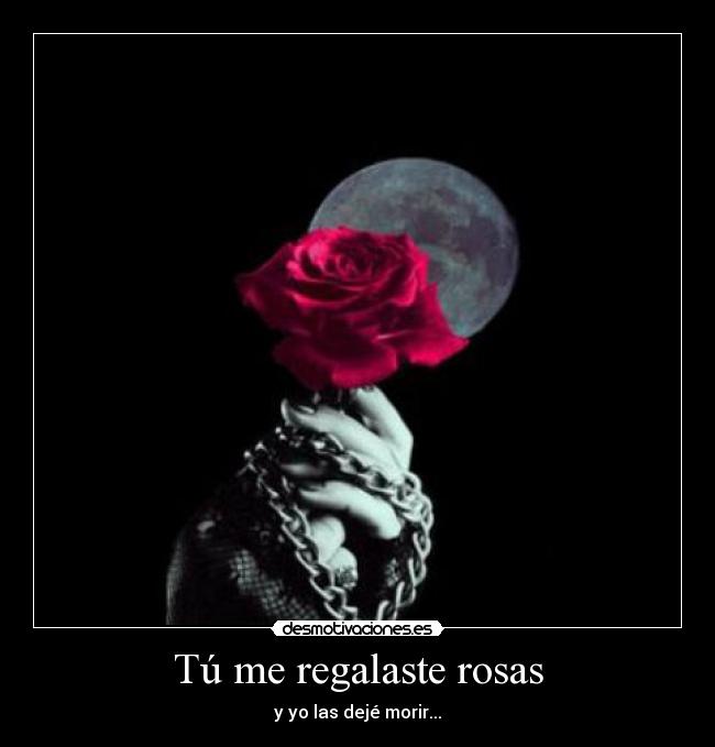 Tú me regalaste rosas - y yo las dejé morir...