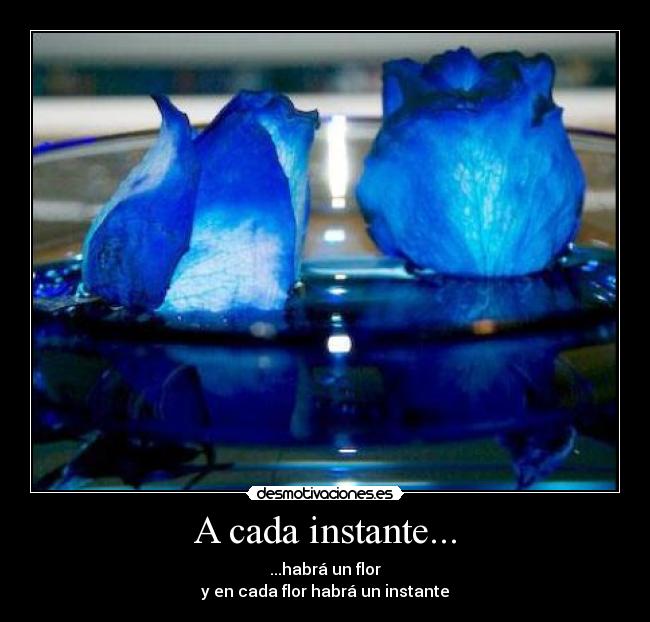 A cada instante... - 