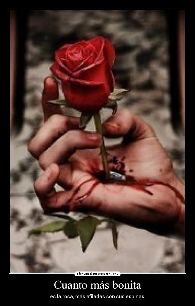 Cuanto más bonita - 