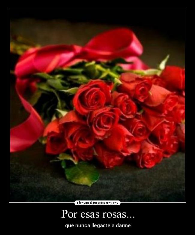 Por esas rosas... - que nunca llegaste a darme