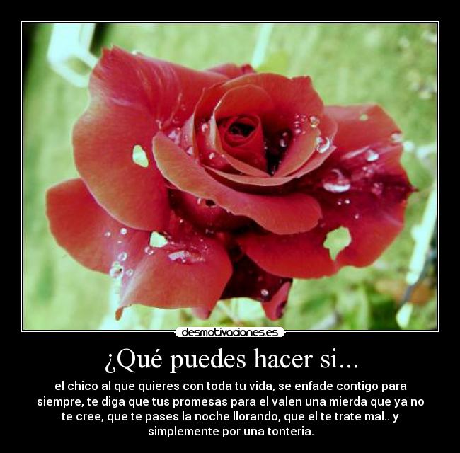 carteles deesk desmotivaciones