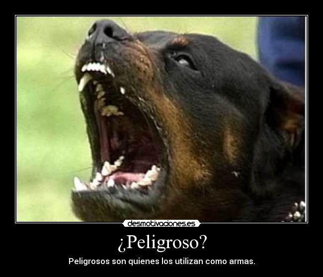 ¿Peligroso? -