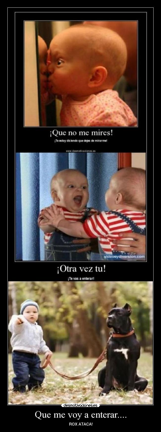 Que me voy a enterar.... - ROX ATACA!