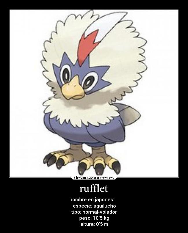 rufflet - nombre en japones: ワシボン
especie: aguilucho
tipo: normal-volador
peso: 105 kg
altura: 05 m