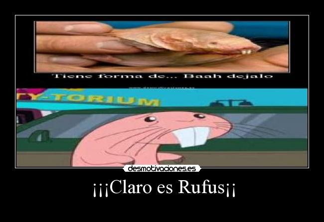 ¡¡¡Claro es Rufus¡¡ - 