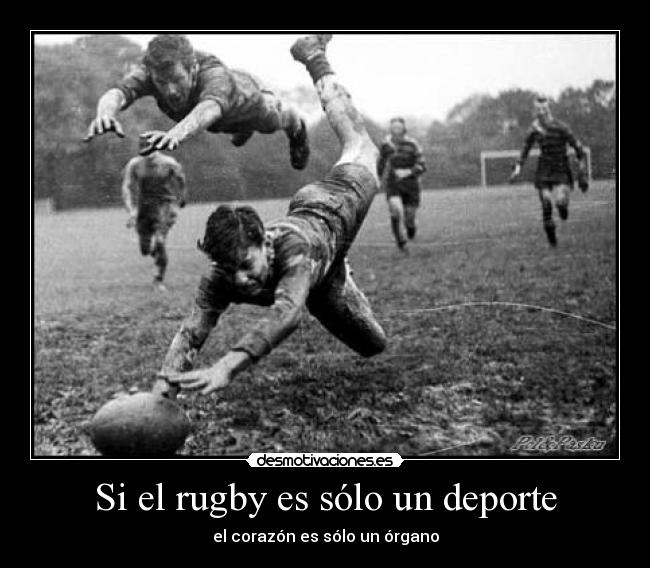 Si el rugby es sólo un deporte -