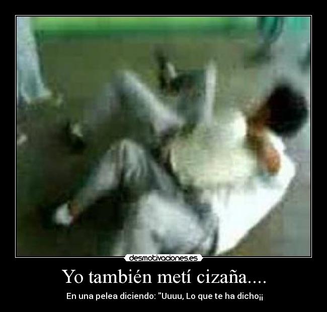 Yo también metí cizaña.... - 