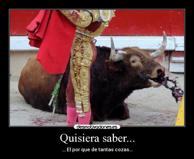 Quisiera saber... -