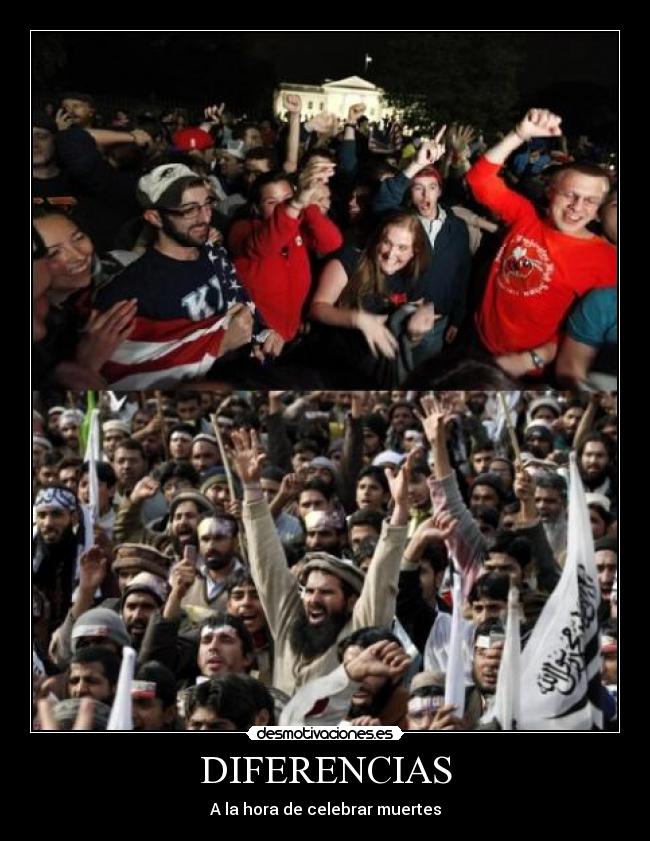 carteles bin laden diferencias muerte usa desmotivaciones
