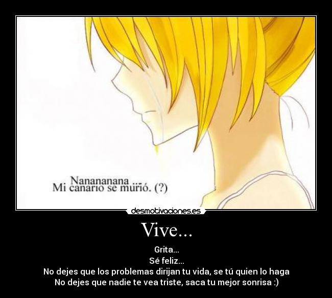 Vive... - 