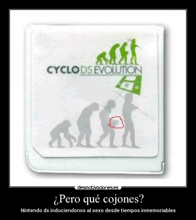¿Pero qué cojones? - Nintendo ds induciendonos al sexo desde tiempos inmemoriables