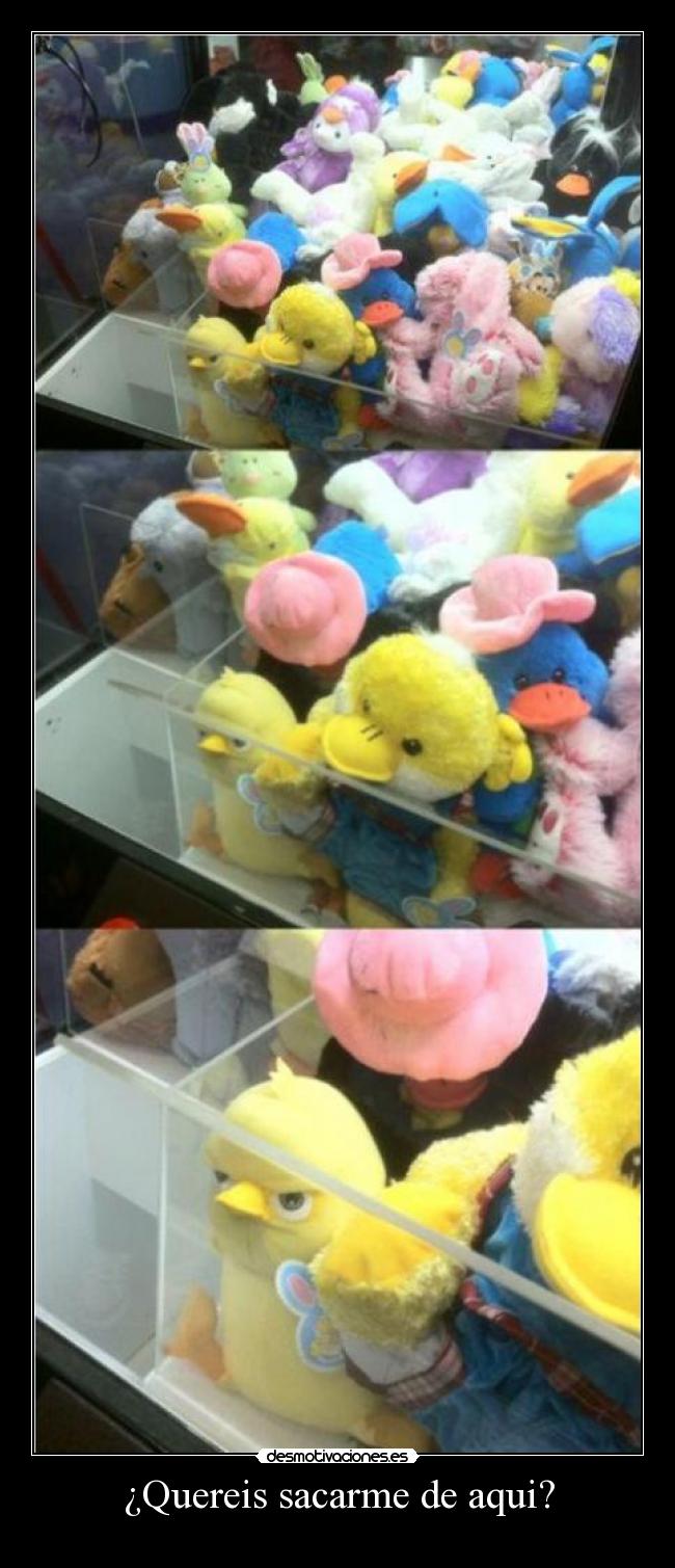 ¿Quereis sacarme de aqui? - 