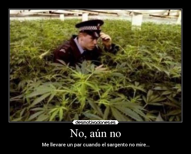 No, aún no - Me llevare un par cuando el sargento no mire...