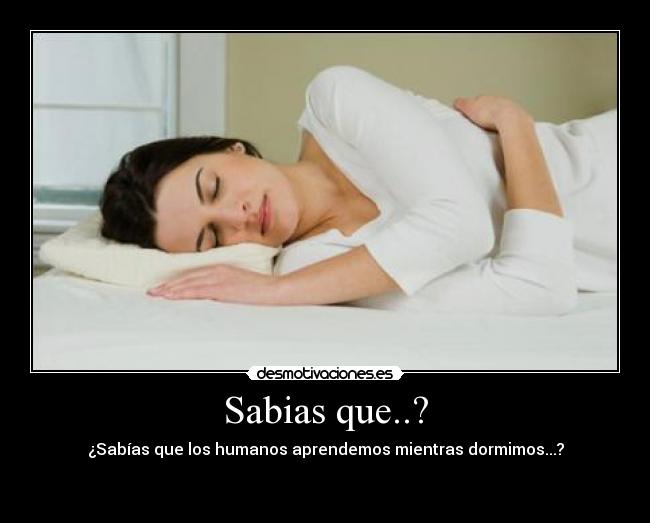 Sabias que..? - ¿Sabías que los humanos aprendemos mientras dormimos...?