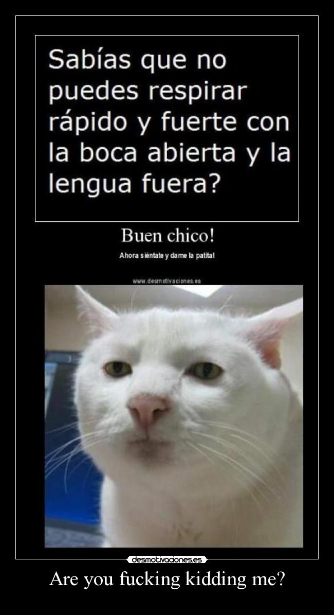 Are you fucking kidding me? -